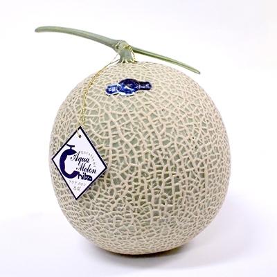 ふるさと納税 東金市 【約1.3kg以上×2玉】千葉アクアメロン(マスクメロン) 
