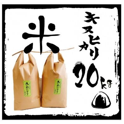 ふるさと納税 竜王町 令和5年産 特別栽培 近江米 『キヌヒカリ』20kg(5kg×4)