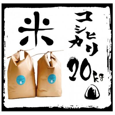 ふるさと納税 竜王町 令和5年産 特別栽培 近江米 『コシヒカリ』20kg(5kg×4)