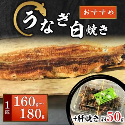ふるさと納税 寝屋川市 [大阪の名店]うなぎ白焼き160g〜180g(1匹)+肝焼きセット