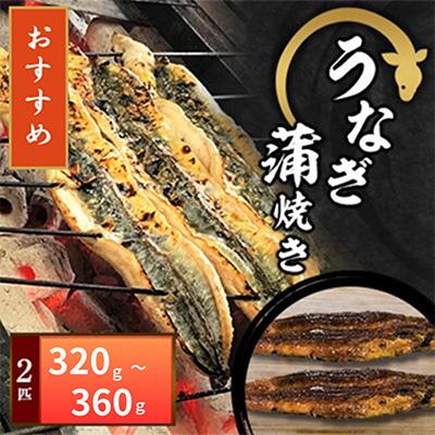 ふるさと納税 寝屋川市 国産うなぎ蒲焼き(1匹あたり180g〜200g)×2匹