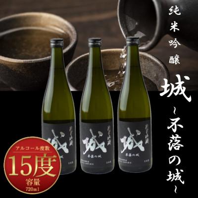 ふるさと納税 木城町 木城町・毛呂山町 新しき村友情都市コラボ 日本酒 純米吟醸「城 〜不落の城」3本