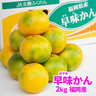 ふるさと納税 宇美町 [先行受付]みかん「早味かん」約2kg福岡限定!ブランド(宇美町)