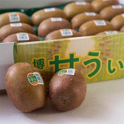 ふるさと納税 宇美町 【先行受付】キウイ「甘うぃ(あまうぃ)」約3kg箱(24-30玉)福岡限定!ブランド(宇美町)_1