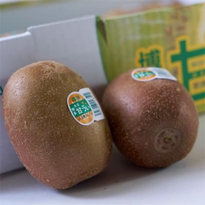 ふるさと納税 宇美町 【先行受付】キウイ「甘うぃ(あまうぃ)」約3kg箱(24-30玉)福岡限定!ブランド(宇美町)_2