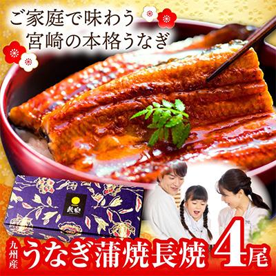 ふるさと納税 宮崎市 国産　うなぎ蒲焼4尾・きざみ鰻1袋(合計650g) |  | 01