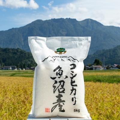ふるさと納税 南魚沼市 南魚沼産コシヒカリ 無洗米5kg[栽培期間農薬を減らして作ったお米]城内農産 令和7年
