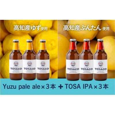 ふるさと納税 香美市 おいしい高知のおいしいクラフトビール「TOSACO」ぶんたんとゆず6本セット(ペールエール・IPA)