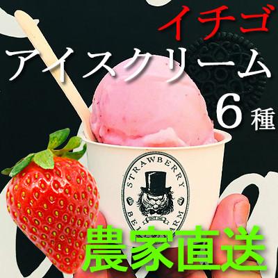 ふるさと納税 横芝光町 農家直送!BELL FARMの美味しい苺アイスクリーム 6個セット