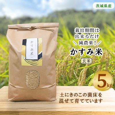 ふるさと納税 潮来市 令和7年産栽培期間出来るだけ農薬を減らして作った「かすみ米」玄米 5kg
