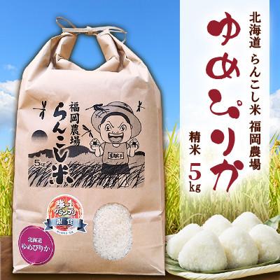 ふるさと納税 蘭越町 令和5年産 らんこし米 福岡農場のゆめぴりか 5kg