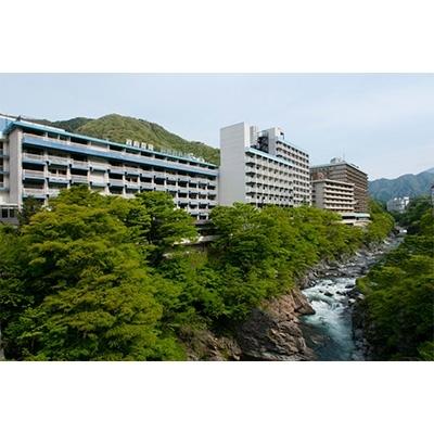 ふるさと納税 日光市 鬼怒川温泉ホテルペア宿泊券(夕食 個室ダイニング結坐)