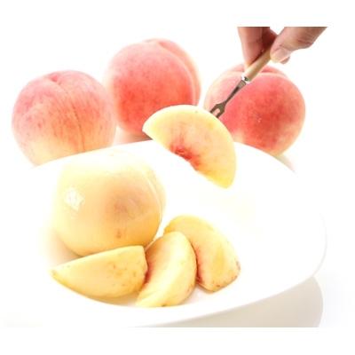 アウトレット送料無料 中山町 ふるさと納税 21年度産先行受付 大人気 美味しい品種厳選 白桃 約5kg お歳暮 Kuljic Com