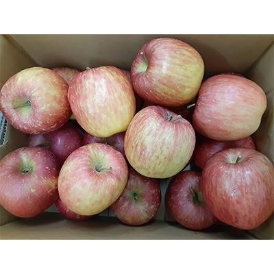初回限定 中山町 ふるさと納税 21年度産先行受付 ご自宅用規格外 サンふじ 約10kg 肌触りがいい Www Muslimaidusa Org