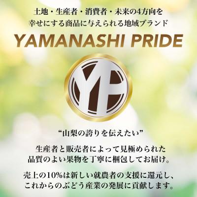 ふるさと納税 山梨市 2026年発送 フルーツ王国山梨産厳選 大房シャインマスカット 1房 (約700〜800g)_3