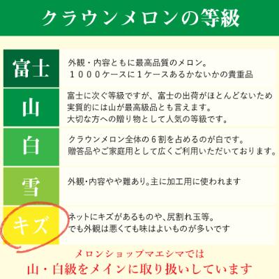 ふるさと納税 浜松市 クラウンメロン ワケありメロン1玉入り｜y-sf｜04