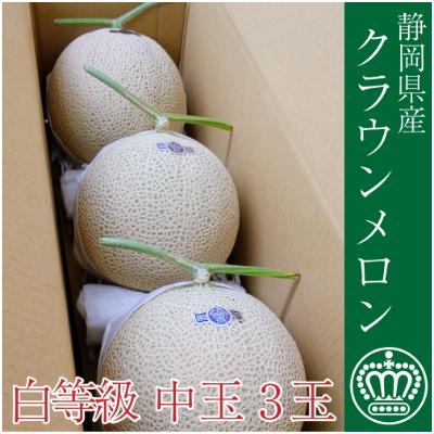 ふるさと納税 浜松市 クラウンメロン[並(白等級)]中玉(1.3kg前後)3玉入り
