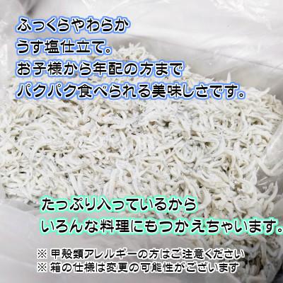 ふるさと納税 湯浅町 湯浅湾の釜揚げシラス!大容量1.4kg(700g×2パック)!【訳あり 家庭用】|y-sf|02
