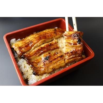 ふるさと納税 浜松市 浜名湖産うなぎ　うなぎの佳川　お食事券(2名分)