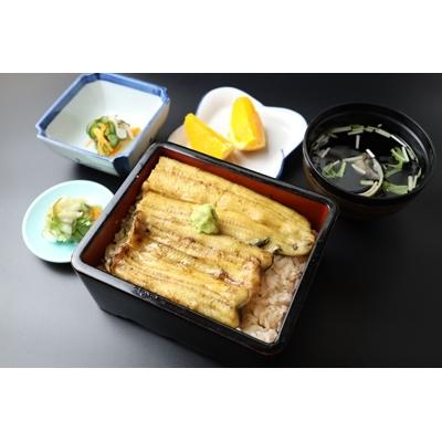 ふるさと納税 浜松市 浜名湖産うなぎ　うなぎの佳川　お食事券(2名分) 