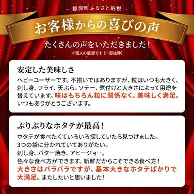 ふるさと納税 標津町 【訳あり】北海道産 帆立貝柱[特A]刺身用 500g×3袋  北海道 人気 おすすめ ホタテ 天然 |  | 01