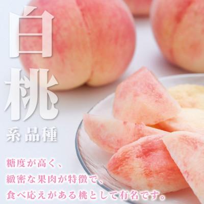 ふるさと納税 山梨市 2026年発送 山梨県産 桃 白桃系 2kg以上(5〜8玉) フルーツ王国・山梨から産地直送の画像