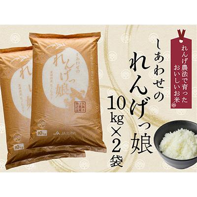 ふるさと納税 交野市 JA北河内しあわせのれんげっ娘(精米)10kg×2(交野