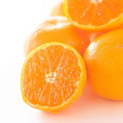 ふるさと納税 海南市 下津蔵出しみかん　小粒サイズ　S又はSSサイズ約5kg　秀品 | 