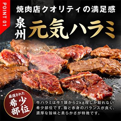 ふるさと納税 泉佐野市 牛ハラミ肉 総量1.3kg(ハラミ 300g×4P+牛すじ 100g) 味付け 015B577 |  | 01
