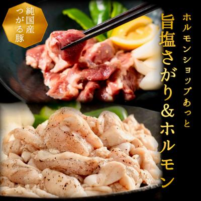 ふるさと納税 藤崎町 津軽豚の旨塩サガリ&amp;ホルモンセット (850g)保存料・化学調味料無添加