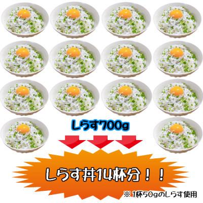 ふるさと納税 九度山町 湯浅湾の釜揚げしらす! 大容量700g【訳あり 家庭用】|y-sf|02