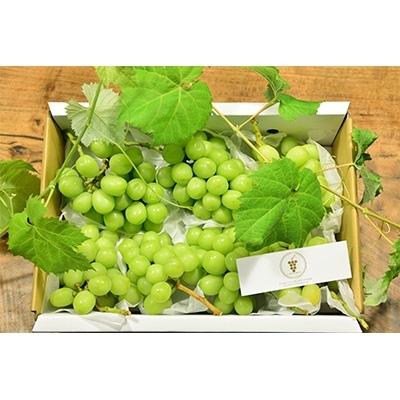 人気ブランド 甲府市 ふるさと納税 全房糖度測定済み 山梨県産 シャインマスカット 約4kg 6 8房 最も優遇 Talentoindustrial Com