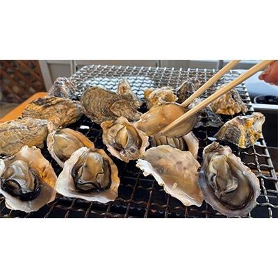 ふるさと納税 豊前市 濃厚な旨味　宇島漁港直送　豊築漁協「豊前海一粒かき」5kg 