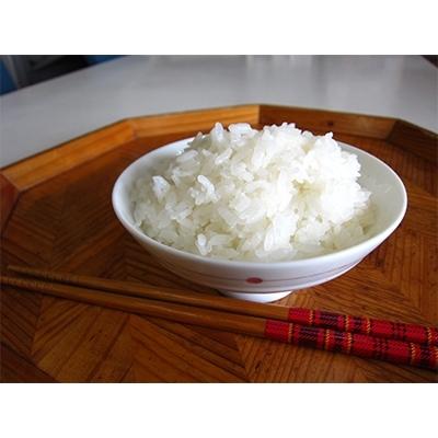 ふるさと納税 登米市 令和4年産 宮城県登米市産つや姫(精米)5kg×2袋セット|y-sf|02
