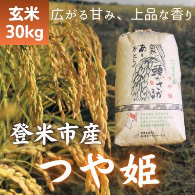 つや姫令和6年産新米宮城登米産30kg