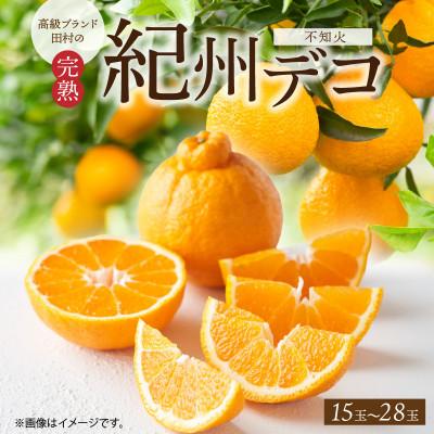 ふるさと納税 湯浅町 [先行予約][2027年3月上旬より発送]高級ブランド田村の完熟紀州デコ(不知火)約4.5kg
