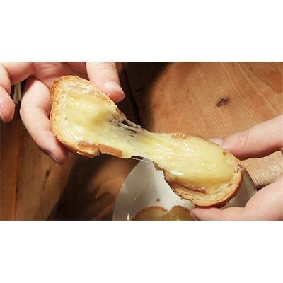 ふるさと納税 江別市 米村牧場チーズ工房の「チーズ5種セット」 