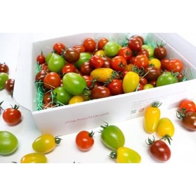 国内配送 池田町 ふるさと納税 岐阜県池田町産 カラフルミニトマト ジュエルスピカ1 3kg 送料無料 Kuljic Com