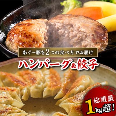 ふるさと納税 嘉手納町 総重量1kg超!あぐー豚を2つの食べ方でお届けします(ハンバーグ&amp;餃子)