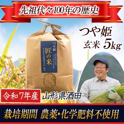 ふるさと納税 酒田市 [栽培期間中農薬不使用]つや姫 玄米5kg 大粒LLサイズ以上厳選 令和7年産