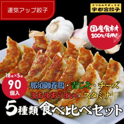ふるさと納税 宇都宮市 宇都宮餃子 運気アップ餃子5種類食べ比べセット(合計90個) 保存料不使用