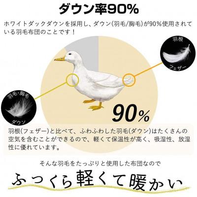ふるさと納税 河合町 【洗濯可能】春夏用洗える羽毛肌布団シングルサイズダウン90%0.3kgダウンケットクリーム　国産_1