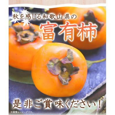 ふるさと納税 和歌山市 【ご家庭用わけあり】和歌山秋の味覚　富有柿　約7.5kg【和歌山市】｜y-sf｜03