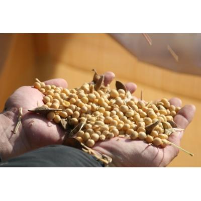 ふるさと納税 多可町 こだわりの国産丸大豆醤油(うす口4本、こい口5本)詰め合わせ　526 