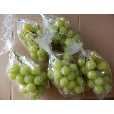 ふるさと納税 長野市 長野県長野市産シャインマスカット4kg(6〜12房入り)の画像
