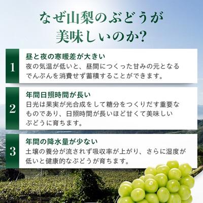 ふるさと納税 山梨市 【先行受付 2026年発送】農林水産大臣賞受賞