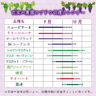 100本セット●ドイツトウヒ松ぼっくり信州の山奥から自然の恵みをお届けします！ IP251012TAN000026000_03.jpg?