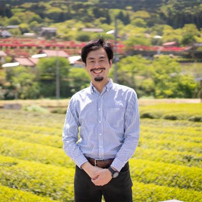 ドリンク、水、お酒 ふるさと納税 津和野町 特産の「まめ茶」と緑茶葉からつくる「つわ乃紅茶」「翠香」(特上煎茶) のセット