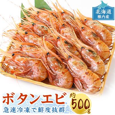 ふるさと納税 稚内市 稚内産ボタンエビ 約500g 超人気