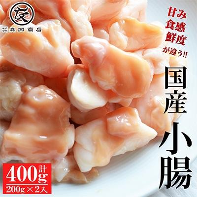 ふるさと納税 松原市 国産牛小腸400g 200g×2袋 もつ鍋や焼肉で楽しめるホルモン 冷凍真空パック 森田商店